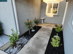 757 Valley Green Dr in Brentwood, CA - Building Photo - Building Photo