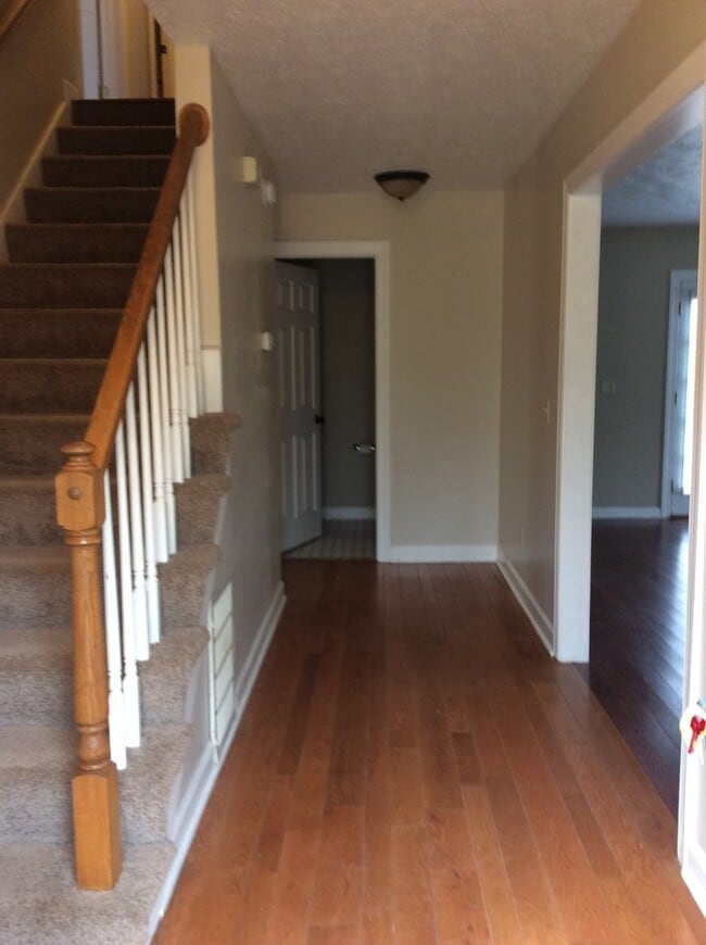 239 Nina Ln in Williamsburg, VA - Building Photo - Building Photo