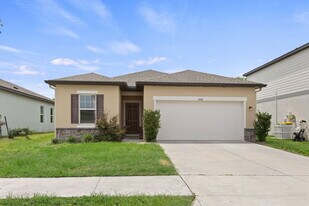 35747 Buttonweed Trl in Zephyrhills, FL - Building Photo