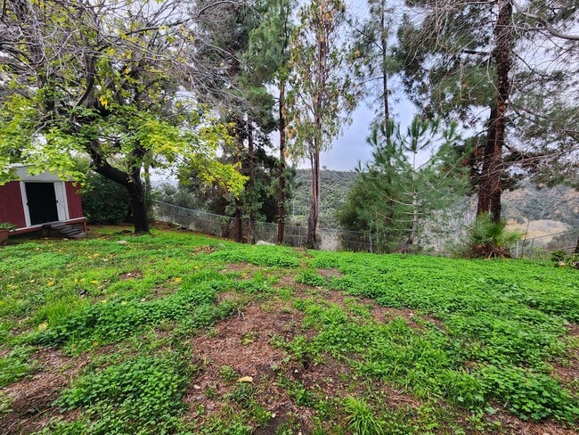 4131 Aralia Rd in Altadena, CA - Foto de edificio - Building Photo