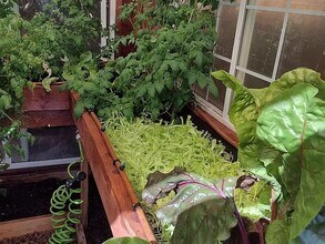 1630 E 2450 S in Saint George, UT - Foto de edificio - Building Photo