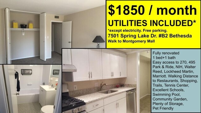 7501 Spring Lake Dr, Unit B2 in Bethesda, MD - Building Photo - Building Photo