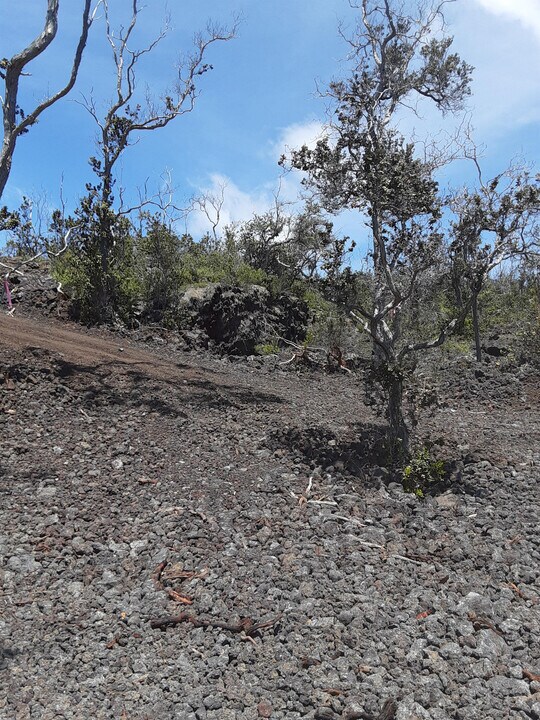 92-2418 Lei Pkwy in Ocean View, HI - Building Photo