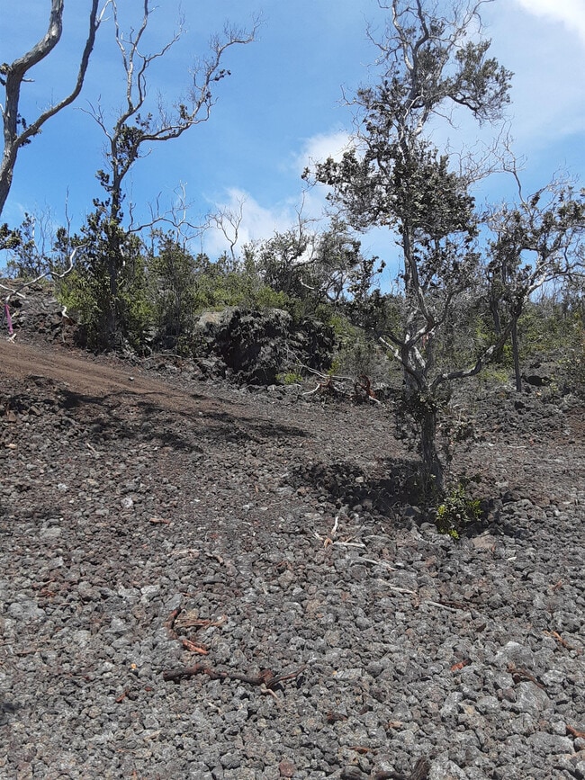 property at 92-2418 Lei Pkwy