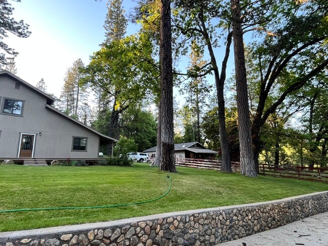 12074 Tyler Foote Rd in Nevada City, CA - Building Photo - Building Photo