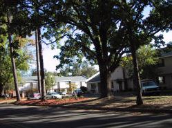 St. Charles Apartments in Americus, GA - Building Photo