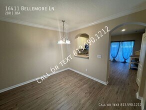 16411 Bellemore Ln in Odessa, FL - Building Photo - Building Photo