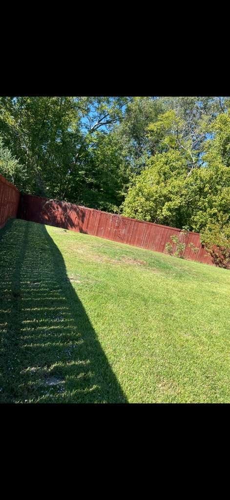 203 Walnut Gardens Dr in Cordova, TN - Building Photo - Building Photo