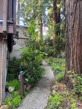 1195 Euclid Ave in Berkeley, CA - Building Photo - Building Photo
