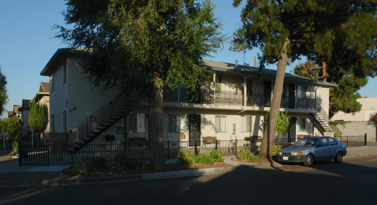 239 Montclair Ave in San Jose, CA - Foto de edificio