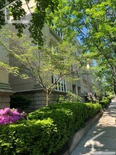 50 Egmont St in Brookline, MA - Foto de edificio - Building Photo