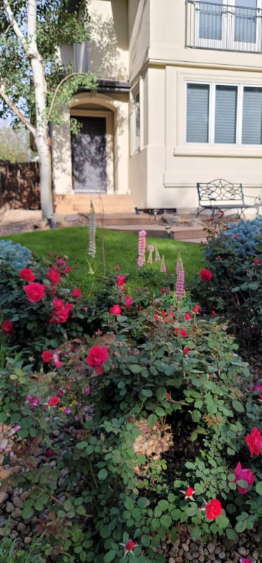 property at 362 Monroe St