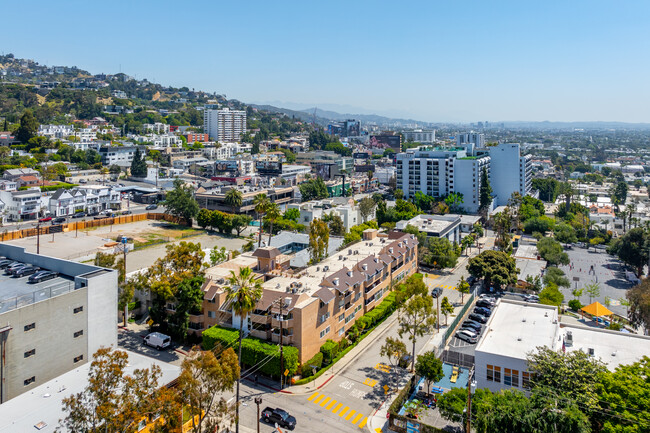 1010 Hammond St in West Hollywood, CA - Building Photo - Building Photo