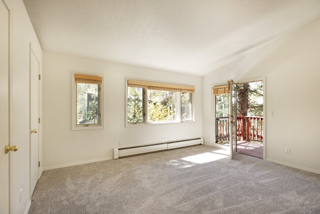 311 Midland Ave in Aspen, CO - Building Photo - Building Photo