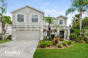 17006 Falconridge Rd in Fish Hawk, FL - Building Photo