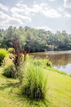 2768 Gatewood Cir, Unit 2651 in Charlottesville, VA - Building Photo - Building Photo