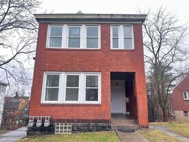 132 Charles St in Mount Oliver, PA - Building Photo