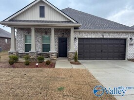 206 James River Dr in Madison, AL - Building Photo