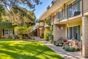 Oasis in the City in Phoenix, AZ - Building Photo