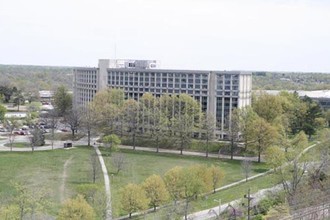 Tulip Tree Apartments in Bloomington, IN - Building Photo - Building Photo