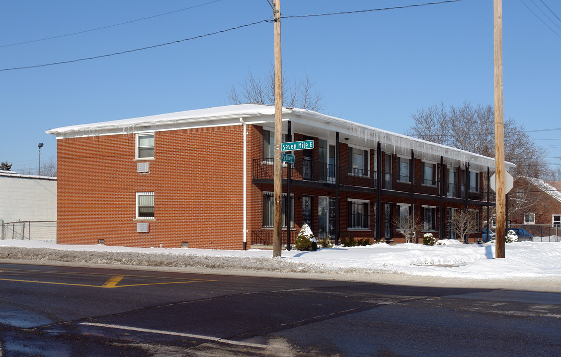 19123 Pelkey St in Detroit, MI - Building Photo