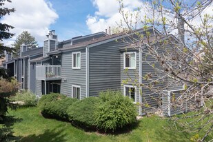 Alpine in Fort Collins, CO - Building Photo