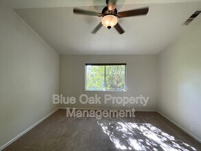 3 Sir Andrew Ct in Chico, CA - Building Photo - Building Photo