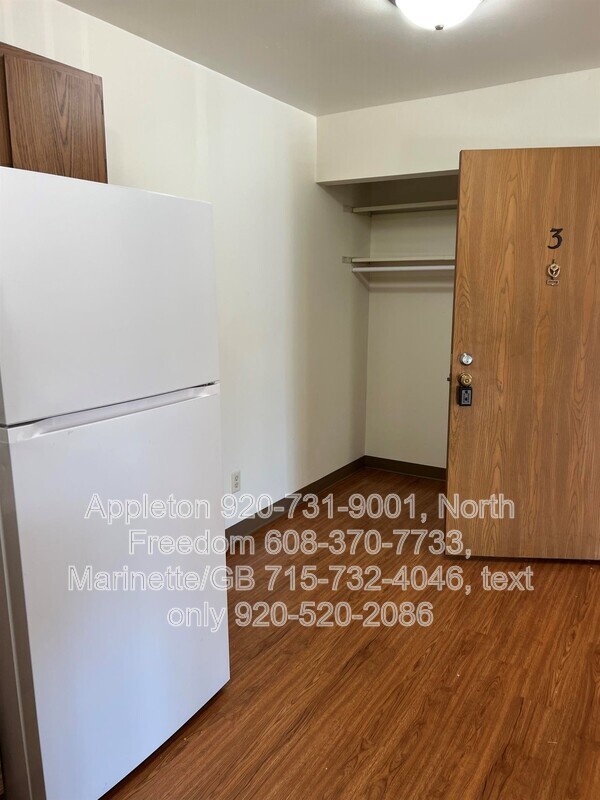 129 E Mitchell Ave in Appleton, WI - Building Photo - Building Photo