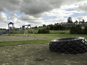 Terre View Apartments in Pullman, WA - Building Photo - Other