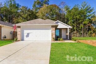 17166 Quaking Aspen Ln in New Caney, TX - Building Photo