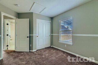 300 Fieldstone Dr in Windsor, CO - Building Photo - Building Photo