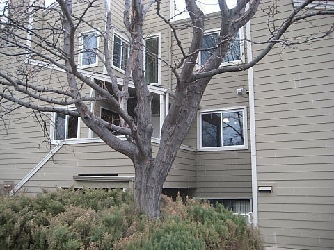 property at 3725 Birchwood Dr