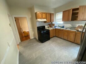 253 Norfolk St, Unit 3 in Boston, MA - Building Photo