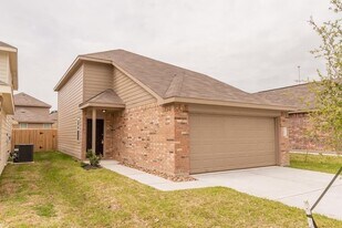 13843 Forest Springs Ln in Willis, TX - Building Photo