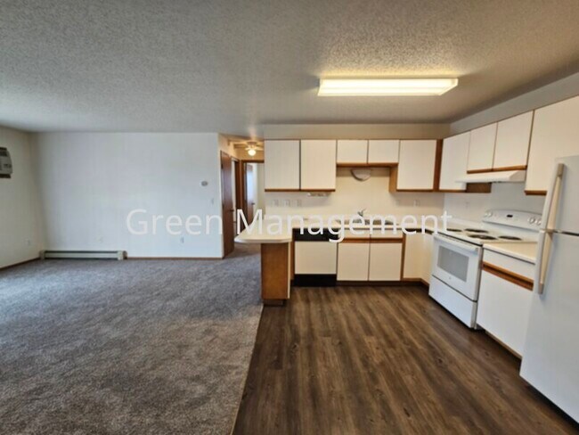 1002-43 1/2 43 1/2 St S in Fargo, ND - Building Photo - Building Photo