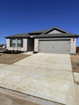 14205 Bacton Rd in Pilot Point, TX - Building Photo