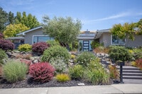 Apartments in Moraga, CA