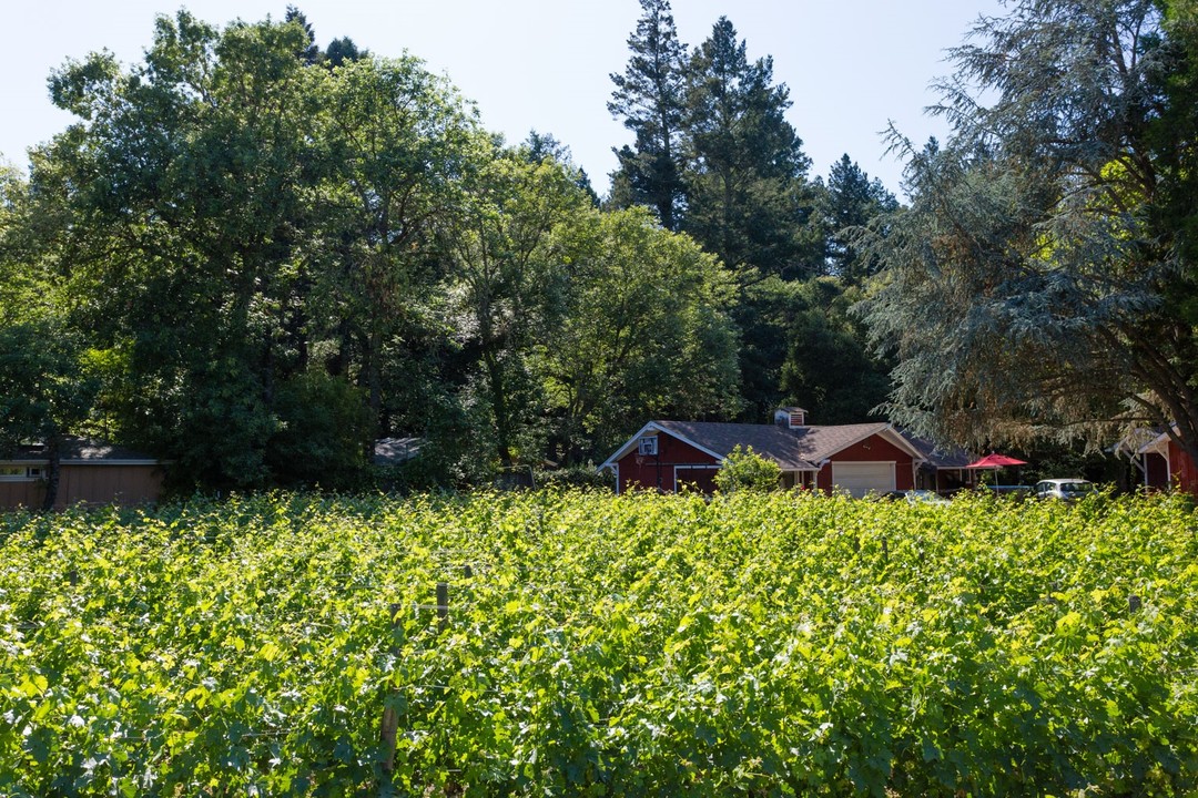 650 Deer Park Rd in St Helena, CA - Foto de edificio