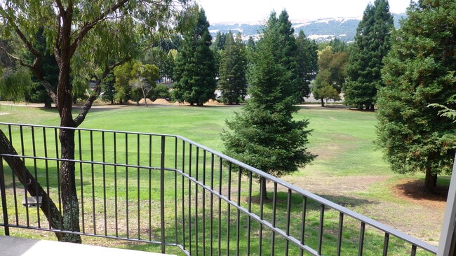 property at 206 Canyon Woods Way
