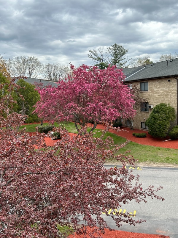 property at 1 Lancelot Court