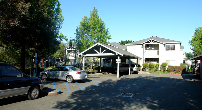 Pacheco Adobe