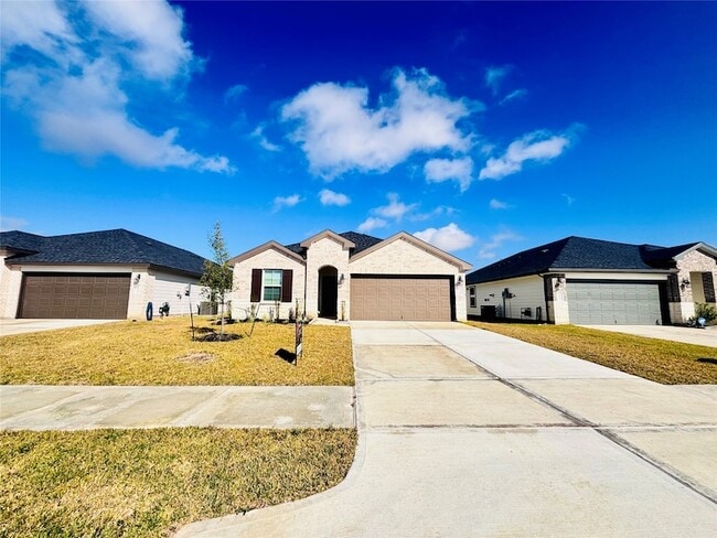 1119 Fringed Bluestar Dr in Rosharon, TX - Building Photo - Building Photo