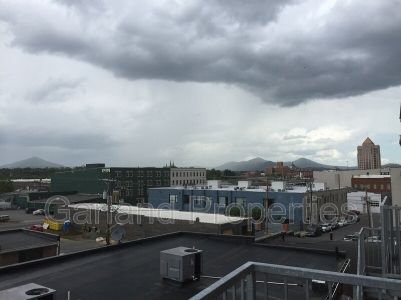 425 Campbell Ave SW in Roanoke, VA - Building Photo