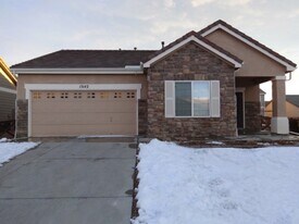 15142 E 119th Ave in Brighton, CO - Building Photo