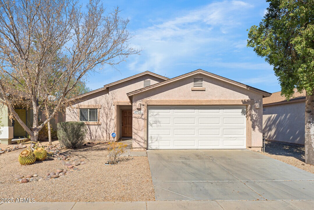 1750 E Desert Rose Trail in San Tan Valley, AZ - Building Photo