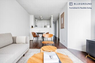 445 E Ohio St in Chicago, IL - Building Photo - Building Photo