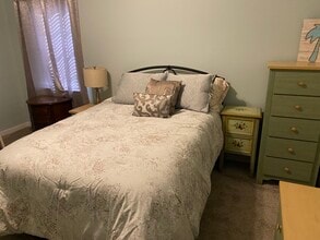 217 Brendalwood Blvd in Brandon, MS - Building Photo - Building Photo