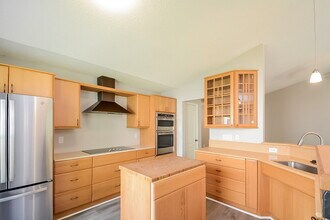 204 Yellow Jasmine Path in Apex, NC - Building Photo - Building Photo