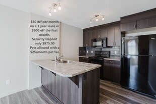 12038-12062 62 St NW in Edmonton, AB - Building Photo