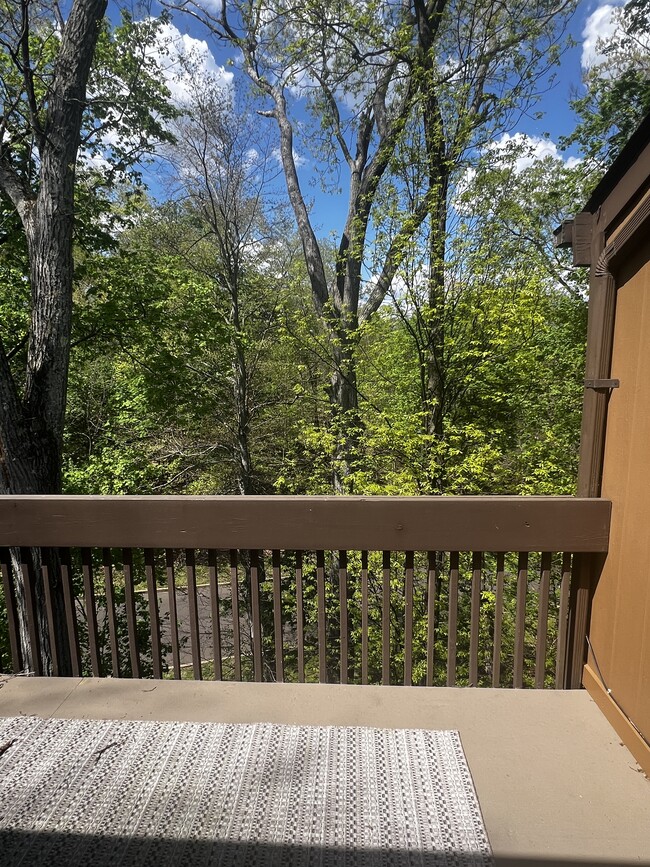 property at 9 Smoke Rise